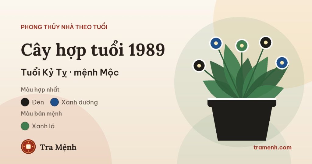 Tuổi Kỷ Tỵ 1989 hợp cây gì trong nhà