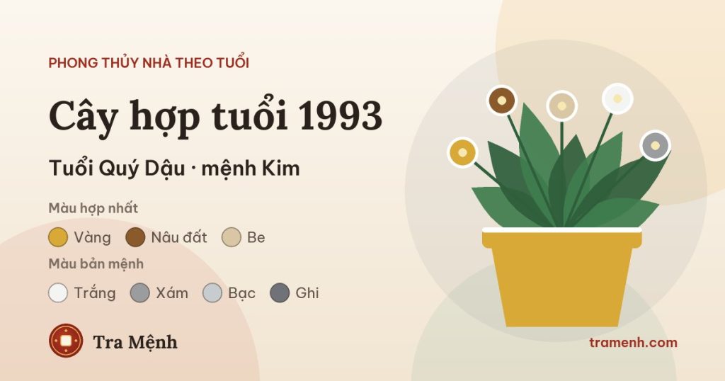 Tuổi Quý Dậu 1993 hợp cây gì trong nhà