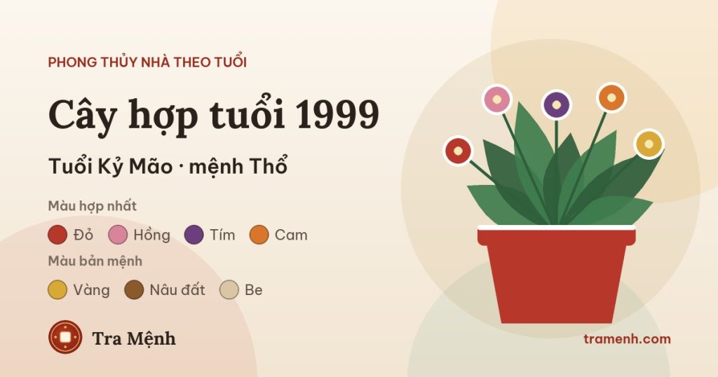 Tuổi Kỷ Mão 1999 hợp cây gì trong nhà