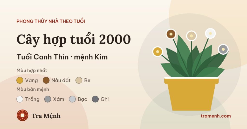 Tuổi Canh Thìn 2000 hợp cây gì trong nhà
