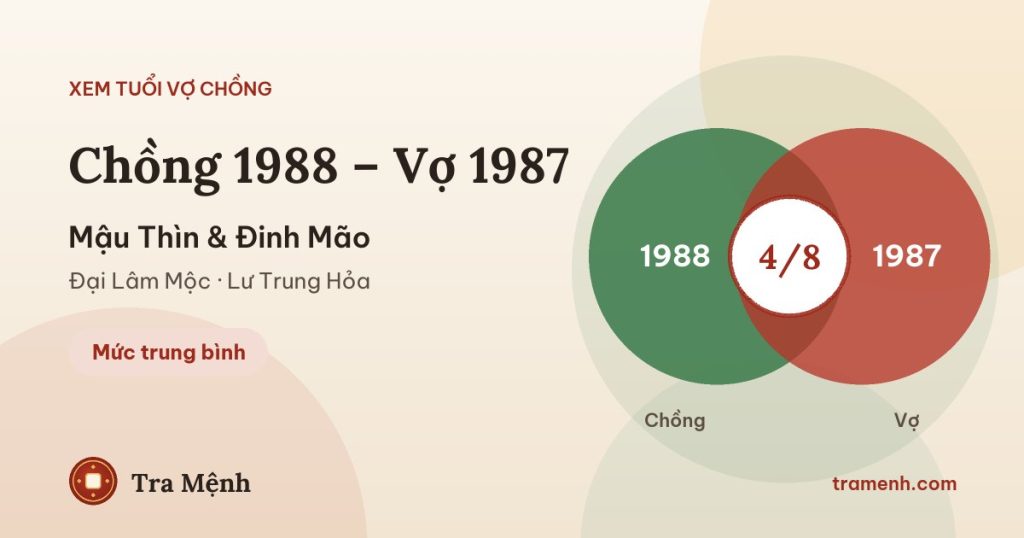 Chồng 1988 vợ 1987 có hợp không? Xem tuổi Mậu Thìn và Đinh Mão