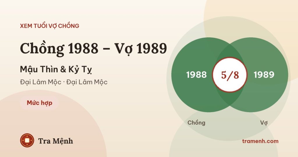 Chồng 1988 vợ 1989 có hợp không? Xem tuổi Mậu Thìn và Kỷ Tỵ